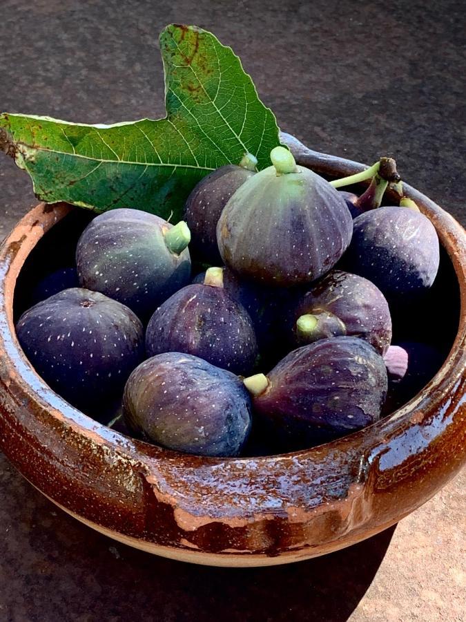 Les Jardins De Sitaara Panzió Cucuron Kültér fotó
