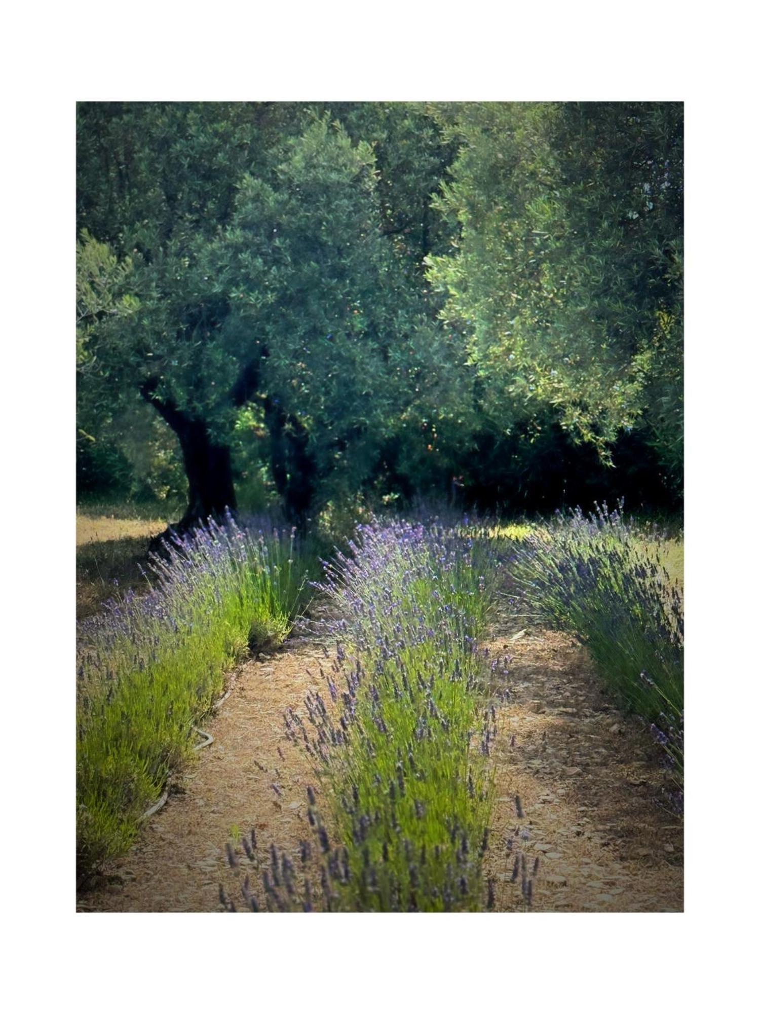 Les Jardins De Sitaara Panzió Cucuron Kültér fotó